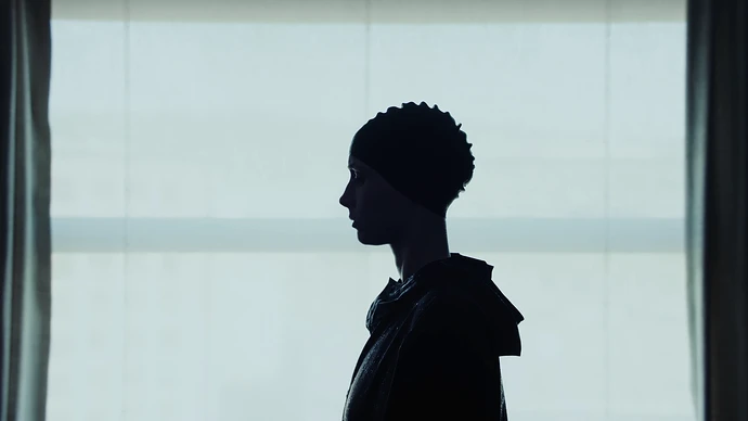 Una_Ballena_Killer_Silhouette