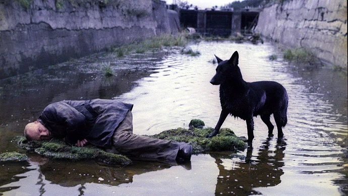 Stalker_River_Bed_With_Dog_01