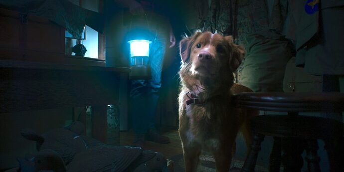 Good-Boy_Still_1_copyright_DCM-e1753446319845-1000x500