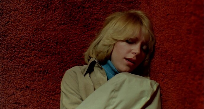 Dawn_of_The_Dead_Fran_Opening